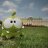 Semir_Akerman